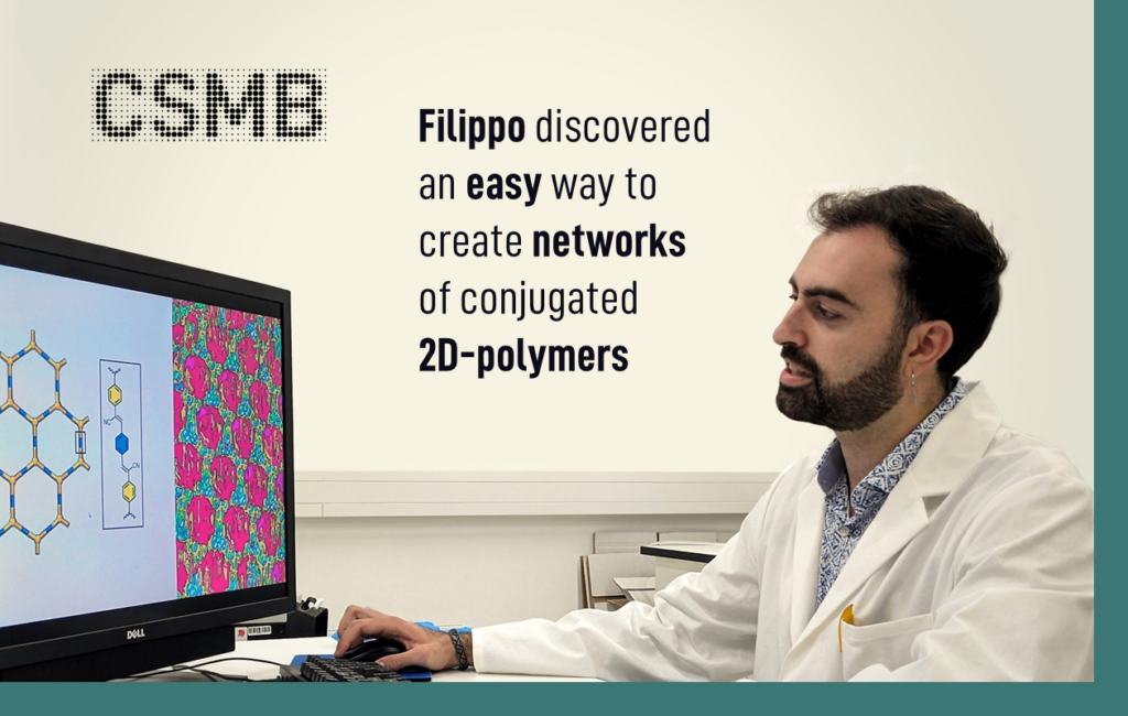 Filippo Network 2D polymers