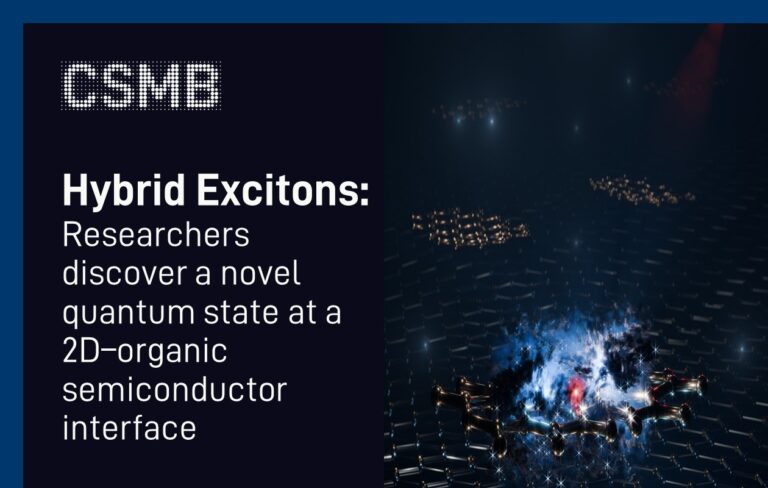 2025-hybrid excitons